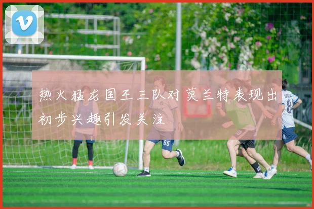 热火猛龙国王三队对莫兰特表现出初步兴趣引发关注