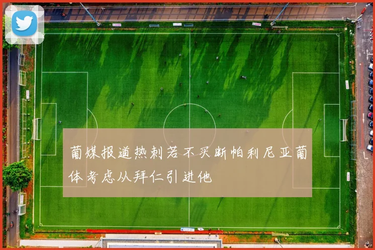 葡媒报道热刺若不买断帕利尼亚葡体考虑从拜仁引进他